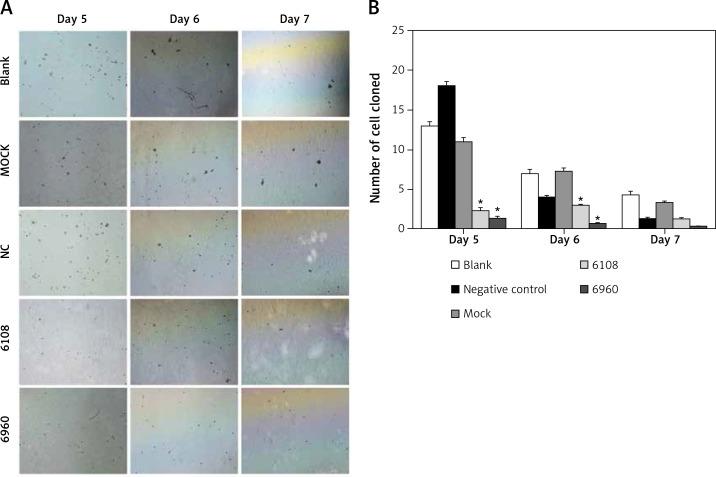 https://cdn.ncbi.nlm.nih.gov/pmc/blobs/e9f4/6657264/678932ada3b2/AMS-15-31756-g005.jpg