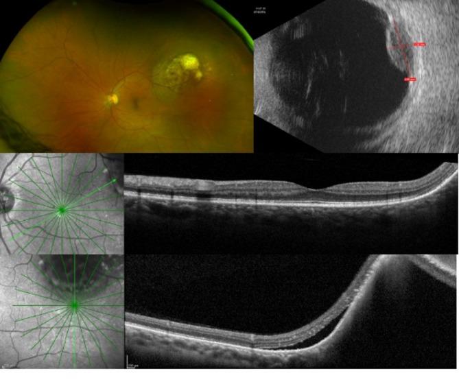 https://cdn.ncbi.nlm.nih.gov/pmc/blobs/e9f5/12359946/49957edd9291/12886_2025_4282_Fig2_HTML.jpg