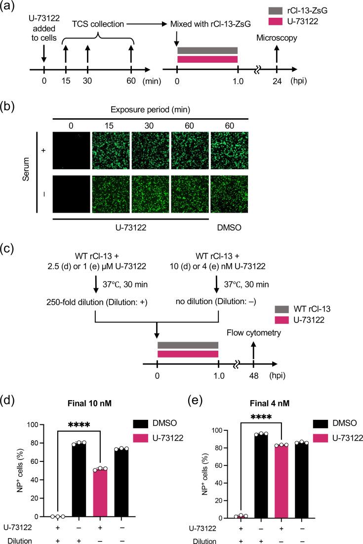 https://cdn.ncbi.nlm.nih.gov/pmc/blobs/e9f6/11651364/e9bfc40f8dcb/jgv-105-02060-g003.jpg