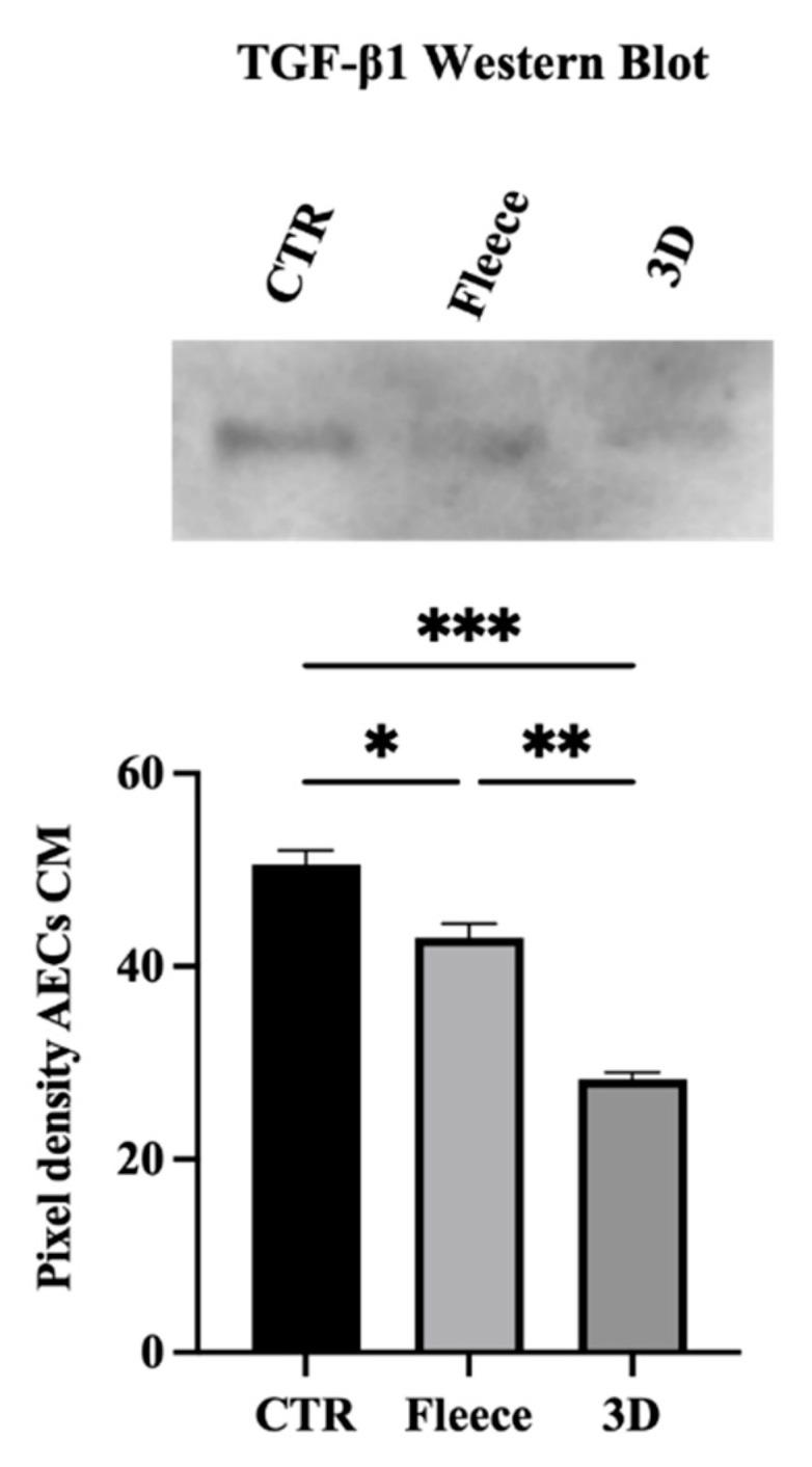 https://cdn.ncbi.nlm.nih.gov/pmc/blobs/e9f7/9599634/d875825a7a88/biomedicines-10-02578-g009.jpg