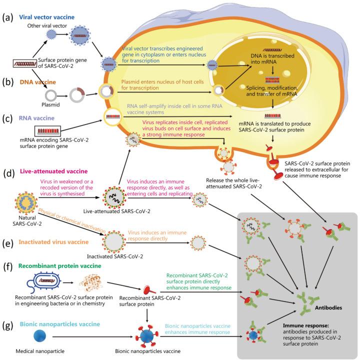 https://cdn.ncbi.nlm.nih.gov/pmc/blobs/e9f7/9775677/10430cd69b0a/biosensors-12-01129-g010.jpg
