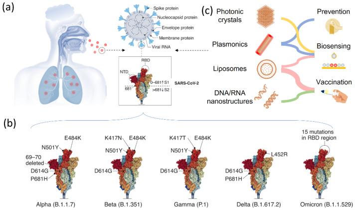 https://cdn.ncbi.nlm.nih.gov/pmc/blobs/e9f7/9775677/f58d1dc3ad3f/biosensors-12-01129-g001.jpg