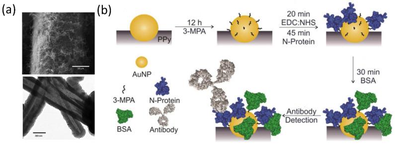https://cdn.ncbi.nlm.nih.gov/pmc/blobs/e9f7/9775677/f866ded2f257/biosensors-12-01129-g005.jpg