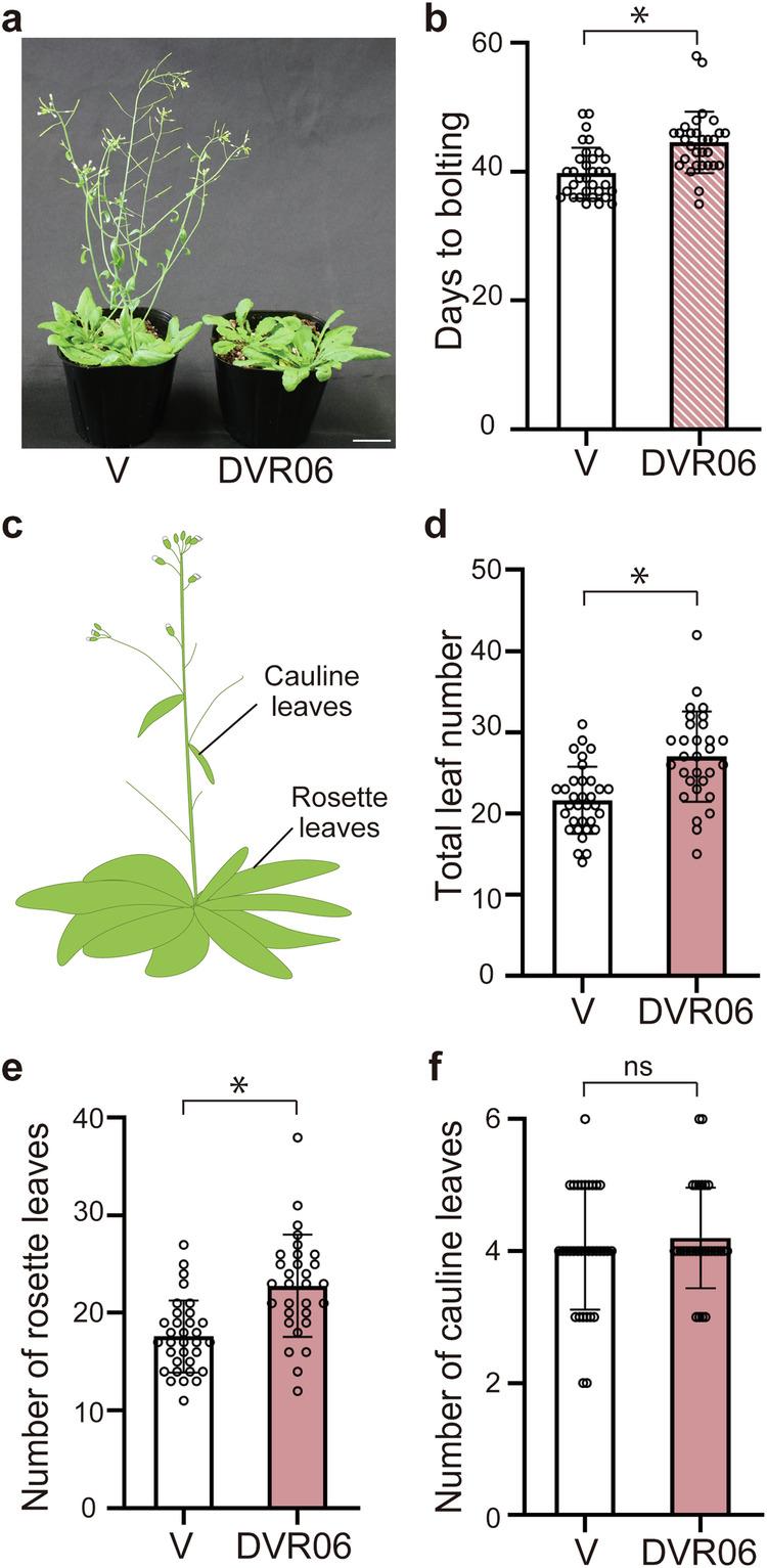 https://cdn.ncbi.nlm.nih.gov/pmc/blobs/e9f8/11754793/0a212c8c0845/42003_2025_7553_Fig5_HTML.jpg