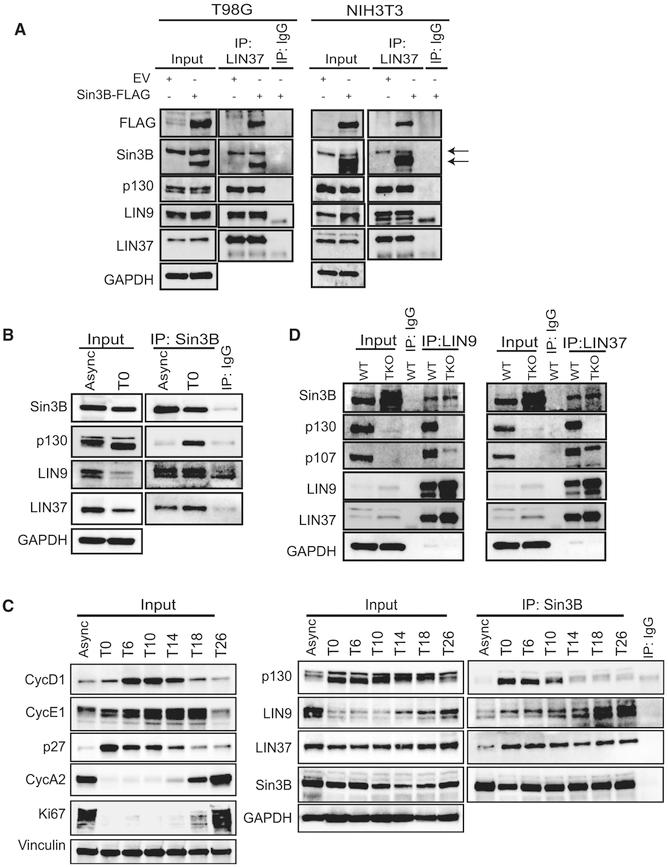 https://cdn.ncbi.nlm.nih.gov/pmc/blobs/e9f9/6324198/7742ffe5cf59/nihms-1516646-f0003.jpg