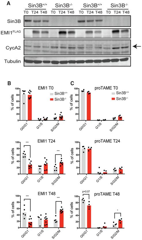 https://cdn.ncbi.nlm.nih.gov/pmc/blobs/e9f9/6324198/beff73f9e76a/nihms-1516646-f0006.jpg