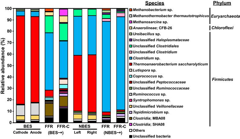 https://cdn.ncbi.nlm.nih.gov/pmc/blobs/e9f9/7789537/cf7f88575abd/13068_2020_1866_Fig3_HTML.jpg
