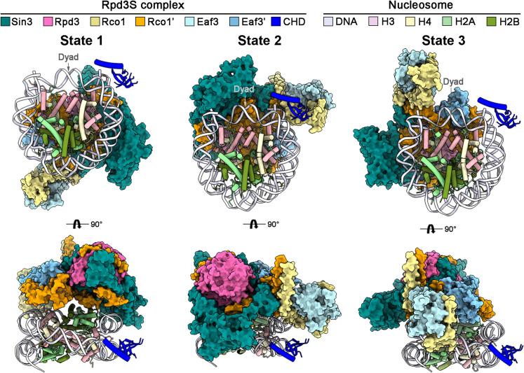 https://cdn.ncbi.nlm.nih.gov/pmc/blobs/e9fb/11006229/59fd01e14062/sciadv.adk7678-f1.jpg