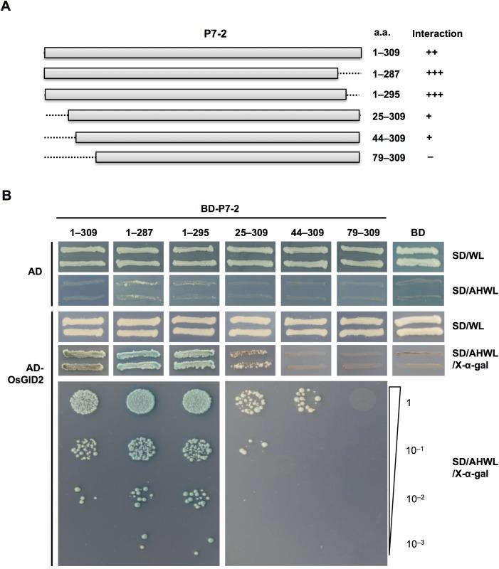 https://cdn.ncbi.nlm.nih.gov/pmc/blobs/e9fb/5426791/6b1730bb219b/pone.0177518.g004.jpg