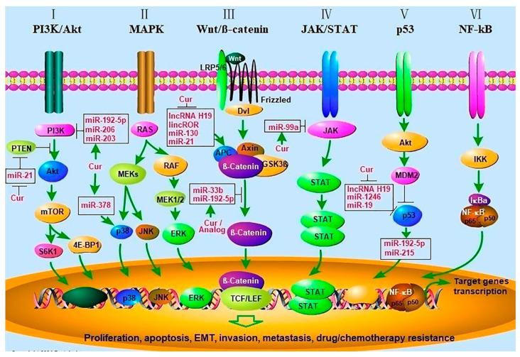 https://cdn.ncbi.nlm.nih.gov/pmc/blobs/e9fb/9737905/df04dc9aa6fb/molecules-27-08367-g001.jpg