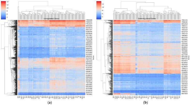 https://cdn.ncbi.nlm.nih.gov/pmc/blobs/e9fd/11172026/f2131d276a10/diagnostics-14-01182-g002.jpg