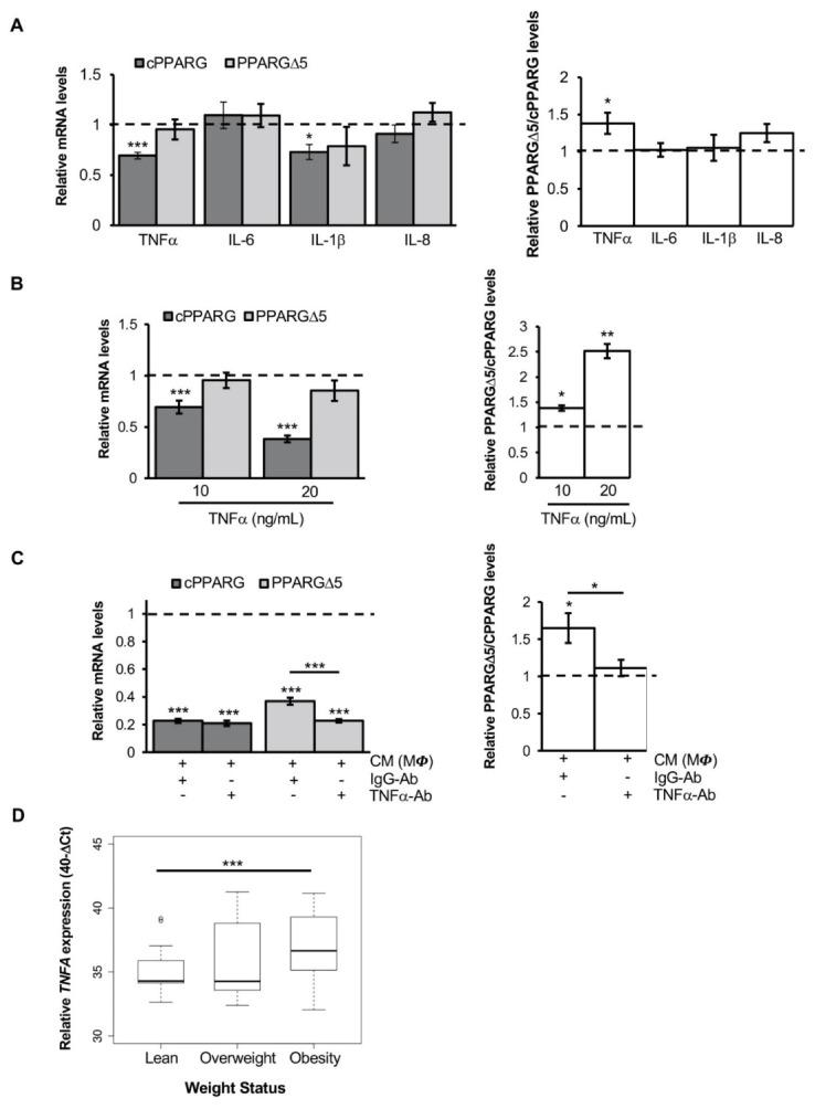 https://cdn.ncbi.nlm.nih.gov/pmc/blobs/e9ff/8750445/27f0d1fb99d5/cells-11-00042-g003.jpg