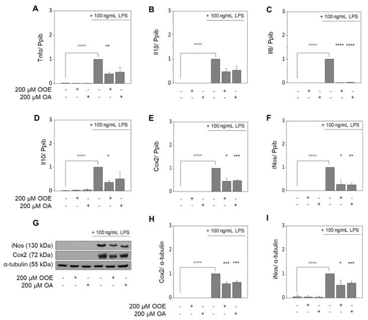 https://cdn.ncbi.nlm.nih.gov/pmc/blobs/ea00/8703532/bde32fe47f10/nutrients-13-04437-g001.jpg