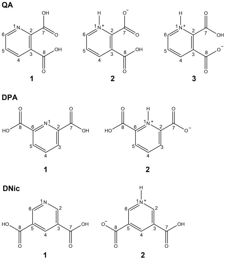 https://cdn.ncbi.nlm.nih.gov/pmc/blobs/ea02/9966216/d4cc75e8d21e/molecules-28-01876-sch001.jpg