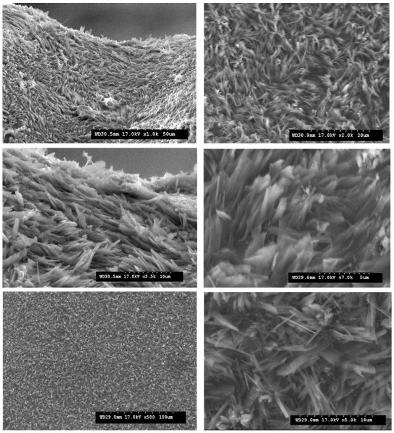 https://cdn.ncbi.nlm.nih.gov/pmc/blobs/ea03/8434214/505dacf0fa4d/materials-14-04932-g008.jpg