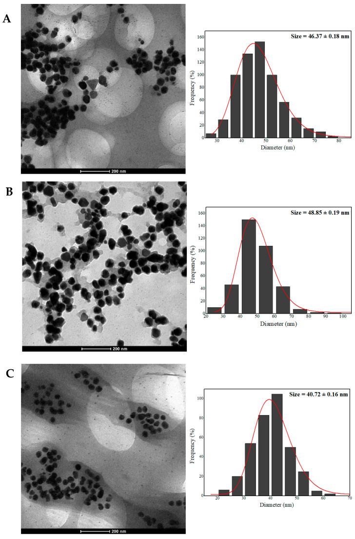 https://cdn.ncbi.nlm.nih.gov/pmc/blobs/ea06/11279972/e68b06708dd0/pharmaceuticals-17-00869-g002.jpg