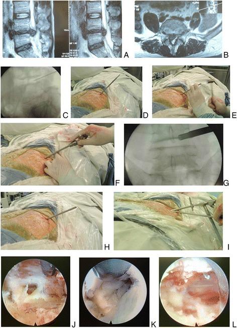 https://cdn.ncbi.nlm.nih.gov/pmc/blobs/ea06/5299691/2a5458f92d52/13018_2017_524_Fig6_HTML.jpg