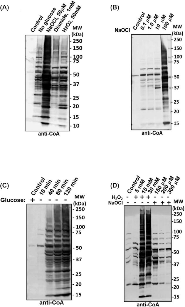 https://cdn.ncbi.nlm.nih.gov/pmc/blobs/ea07/8127865/b2f970601129/fnaa174fig1.jpg