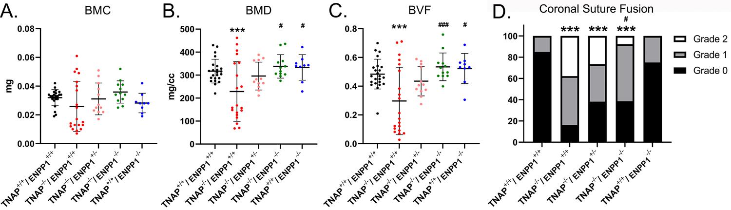 https://cdn.ncbi.nlm.nih.gov/pmc/blobs/ea07/9336114/3617116ef35c/nihms-1823833-f0004.jpg