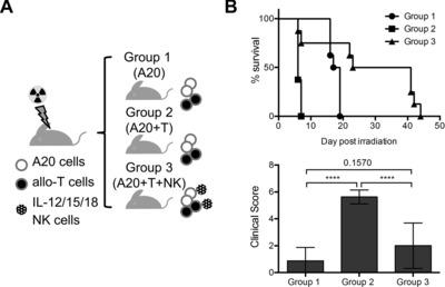 https://cdn.ncbi.nlm.nih.gov/pmc/blobs/ea0e/4687420/fdd68151dfd4/eji0045-1727-f6.jpg
