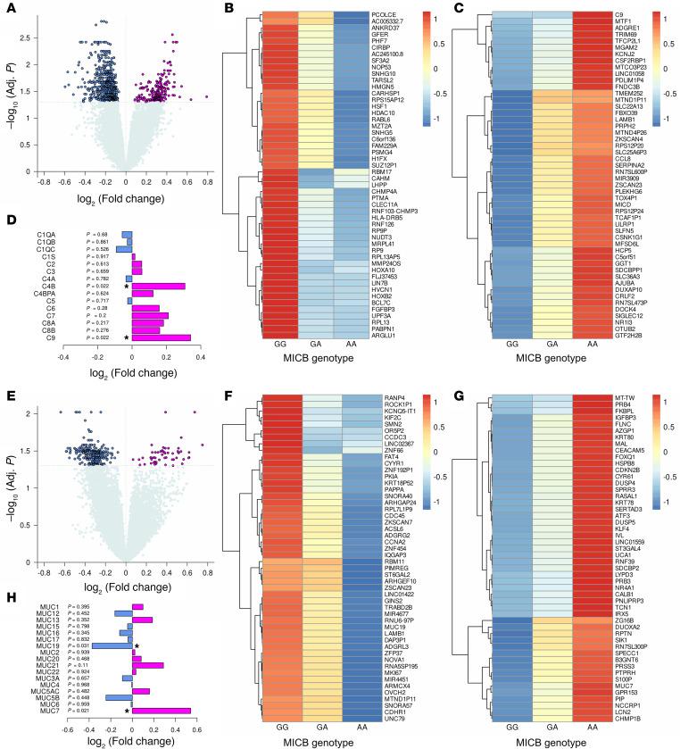 https://cdn.ncbi.nlm.nih.gov/pmc/blobs/ea0f/12333951/9c1d042ca96b/jciinsight-10-191951-g212.jpg