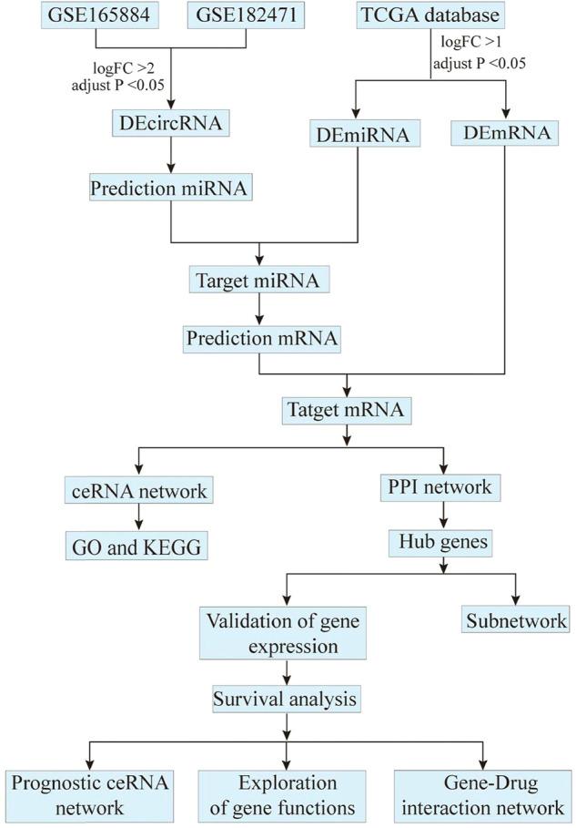https://cdn.ncbi.nlm.nih.gov/pmc/blobs/ea10/9527282/5642290bb962/fmolb-09-1017036-g001.jpg