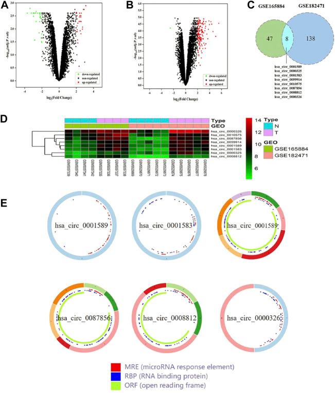 https://cdn.ncbi.nlm.nih.gov/pmc/blobs/ea10/9527282/5d465c96f067/fmolb-09-1017036-g002.jpg