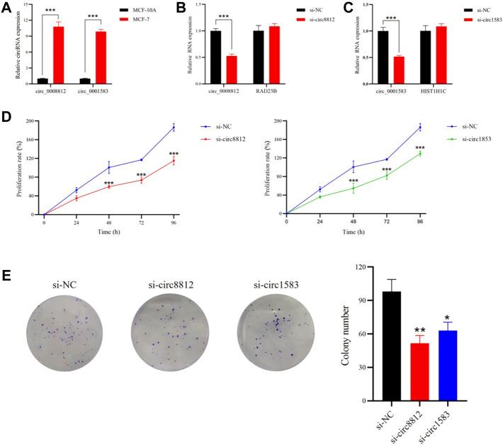 https://cdn.ncbi.nlm.nih.gov/pmc/blobs/ea10/9527282/c2895af00514/fmolb-09-1017036-g007.jpg