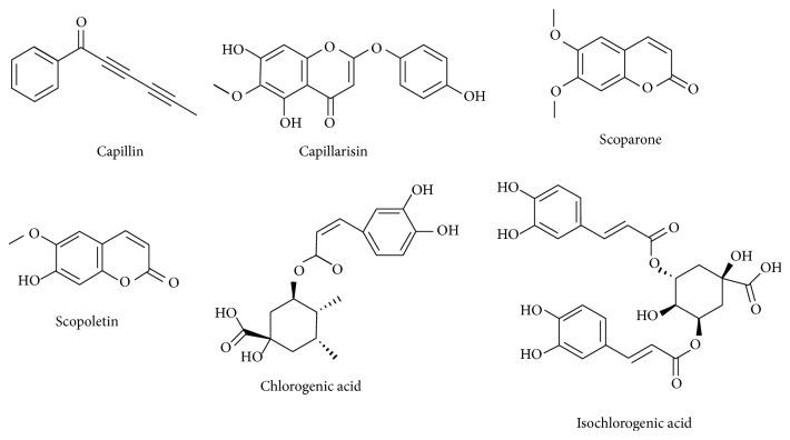 https://cdn.ncbi.nlm.nih.gov/pmc/blobs/ea12/4558445/3ad13655579b/ECAM2015-728137.002.jpg