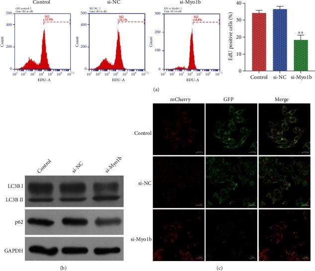 https://cdn.ncbi.nlm.nih.gov/pmc/blobs/ea14/9708368/f5dbfd2fb7a1/ACP2022-5187304.005.jpg