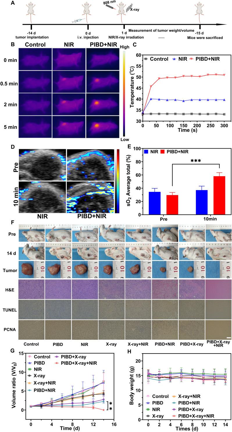 https://cdn.ncbi.nlm.nih.gov/pmc/blobs/ea16/11214800/1378ae3a4293/IJN-19-6499-g0006.jpg