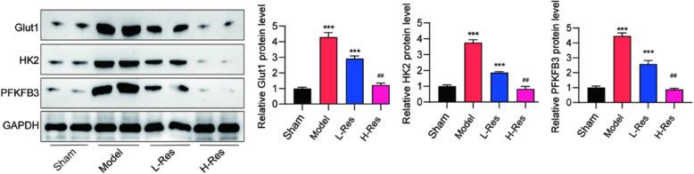 https://cdn.ncbi.nlm.nih.gov/pmc/blobs/ea16/12010545/3640116cbf78/12872_2025_4735_Fig3_HTML.jpg