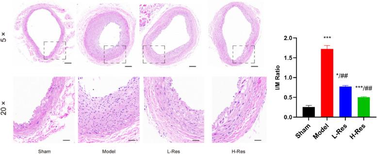 https://cdn.ncbi.nlm.nih.gov/pmc/blobs/ea16/12010545/769c65ce4fb9/12872_2025_4735_Fig2_HTML.jpg
