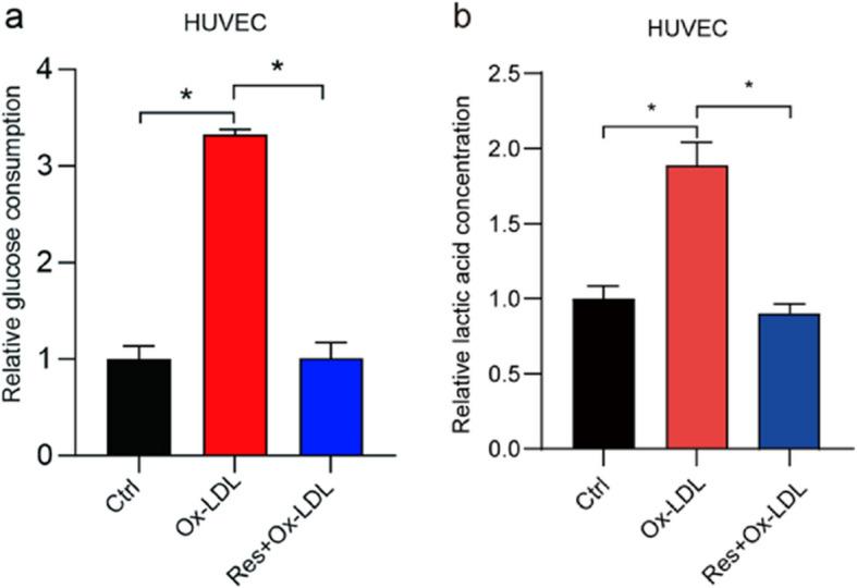 https://cdn.ncbi.nlm.nih.gov/pmc/blobs/ea16/12010545/9ec223aa1312/12872_2025_4735_Fig6_HTML.jpg