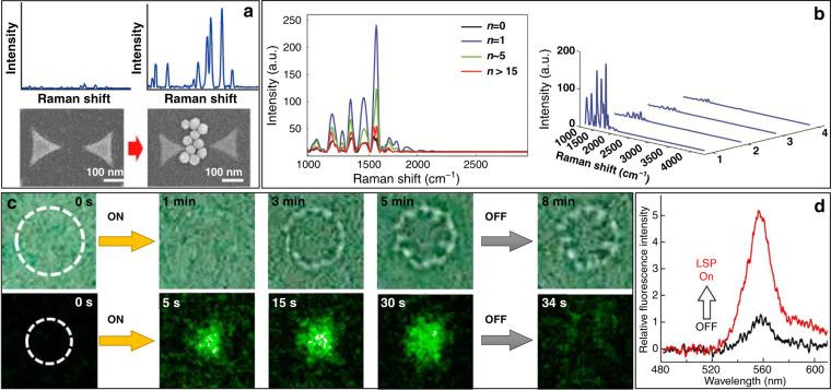 https://cdn.ncbi.nlm.nih.gov/pmc/blobs/ea17/7969631/3d5676354712/41377_2021_474_Fig15_HTML.jpg