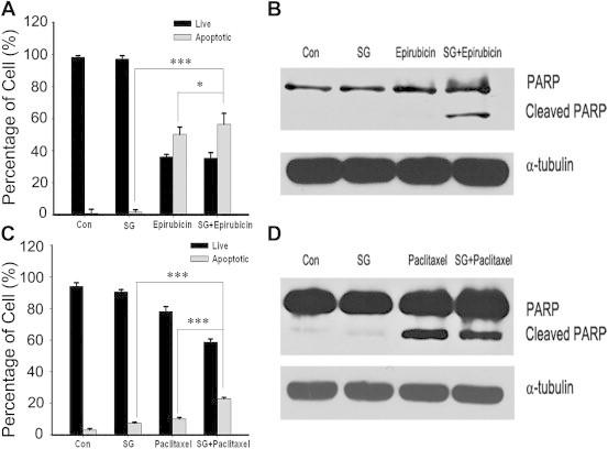 https://cdn.ncbi.nlm.nih.gov/pmc/blobs/ea1f/4268562/531129ae5ca9/gr4.jpg