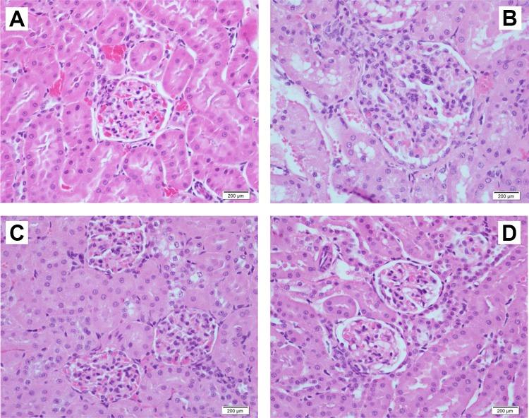 https://cdn.ncbi.nlm.nih.gov/pmc/blobs/ea1f/6537673/2f97b094e83c/10.1177_1559325819852233-fig6.jpg