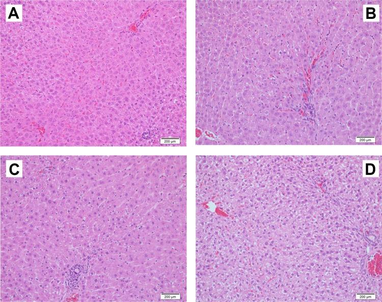https://cdn.ncbi.nlm.nih.gov/pmc/blobs/ea1f/6537673/b8c2bb0c79a7/10.1177_1559325819852233-fig5.jpg