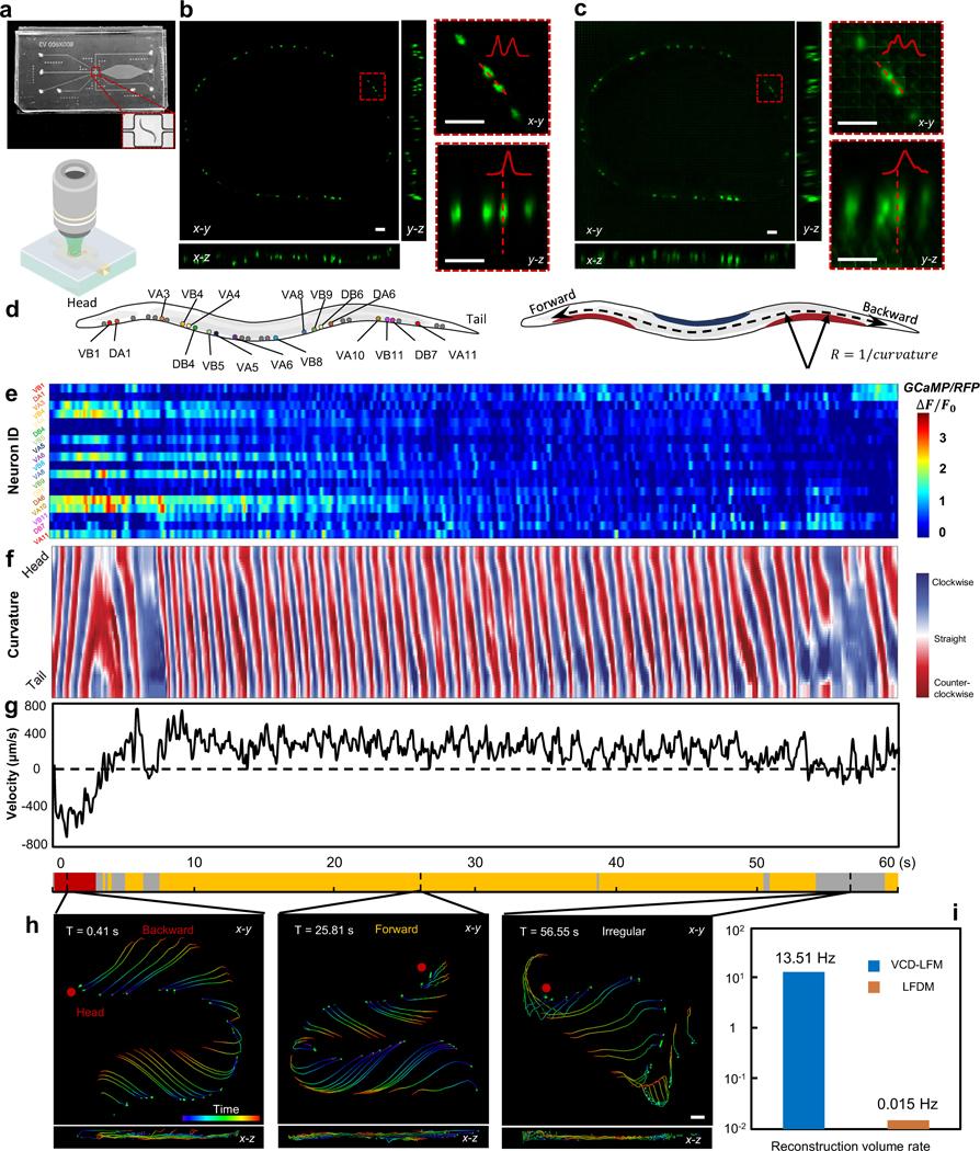 https://cdn.ncbi.nlm.nih.gov/pmc/blobs/ea1f/8107123/205a7f6a3445/nihms-1660945-f0002.jpg