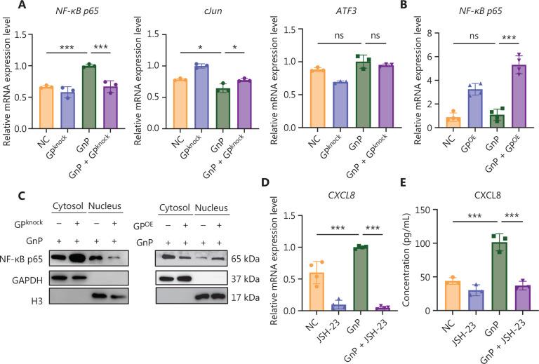 https://cdn.ncbi.nlm.nih.gov/pmc/blobs/ea21/12302273/18863197eed7/cbm-22-07-832-g005.jpg
