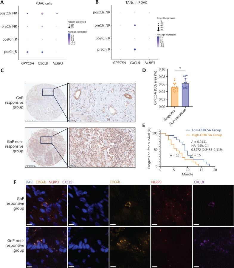 https://cdn.ncbi.nlm.nih.gov/pmc/blobs/ea21/12302273/2426a9c90733/cbm-22-07-832-g008.jpg