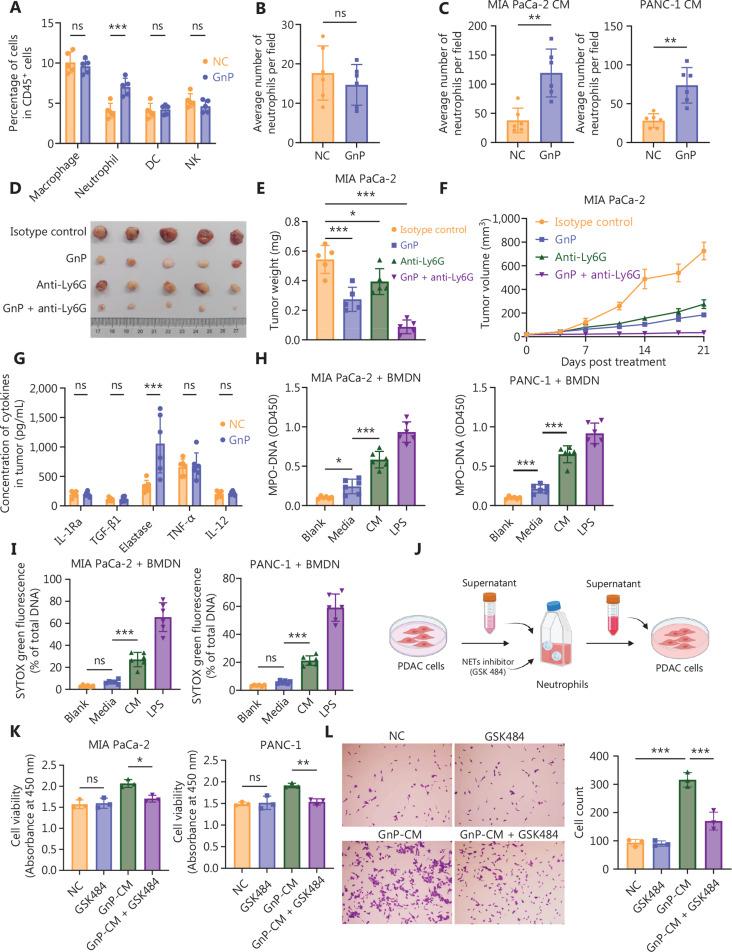 https://cdn.ncbi.nlm.nih.gov/pmc/blobs/ea21/12302273/2b32b132131b/cbm-22-07-832-g002.jpg