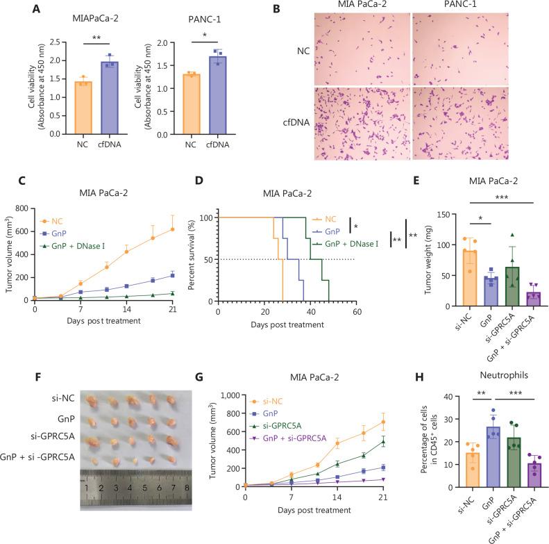https://cdn.ncbi.nlm.nih.gov/pmc/blobs/ea21/12302273/8880c04cdae9/cbm-22-07-832-g007.jpg