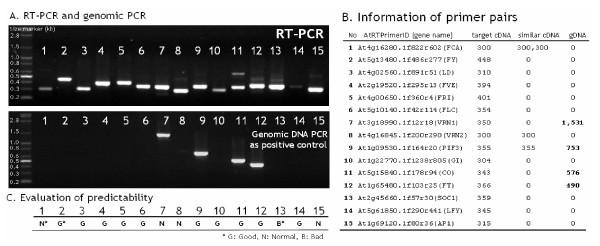 https://cdn.ncbi.nlm.nih.gov/pmc/blobs/ea21/1524993/60d7d00bf3ad/1471-2105-7-179-3.jpg