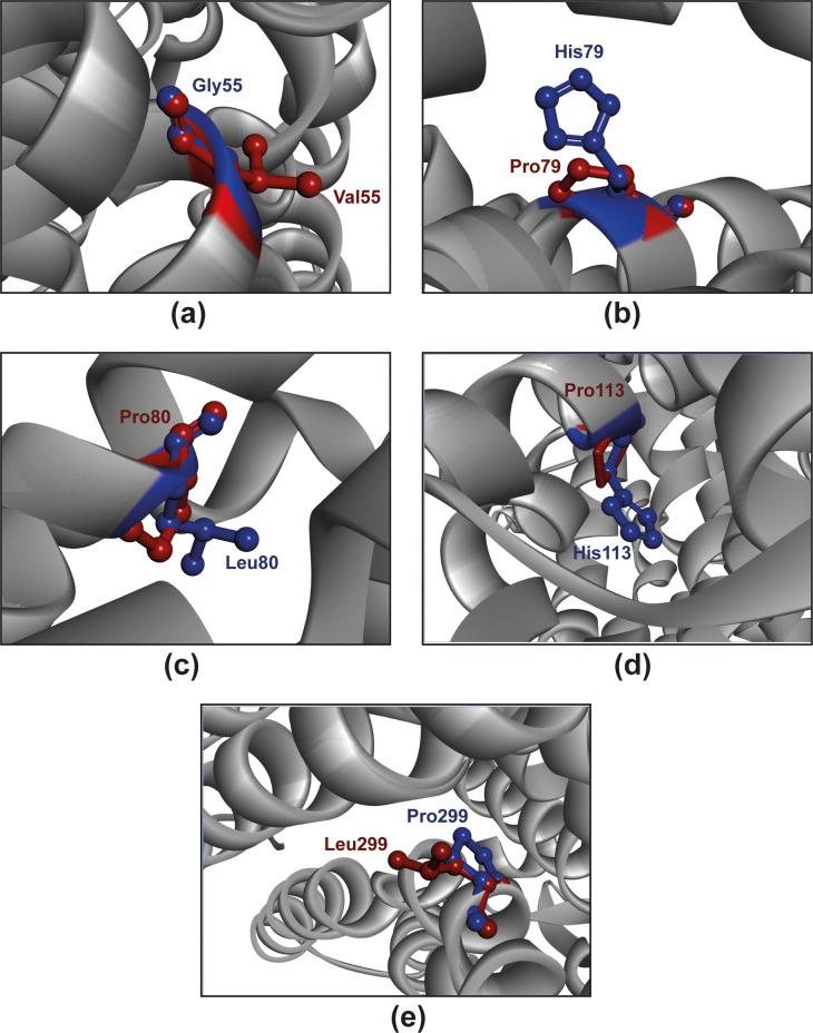 https://cdn.ncbi.nlm.nih.gov/pmc/blobs/ea28/11665994/60b975939149/pone.0312733.g005.jpg