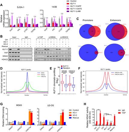 https://cdn.ncbi.nlm.nih.gov/pmc/blobs/ea2c/7840125/0ea9d4408770/abe3445-F4.jpg