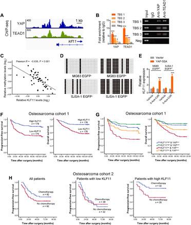 https://cdn.ncbi.nlm.nih.gov/pmc/blobs/ea2c/7840125/19d65208d981/abe3445-F5.jpg