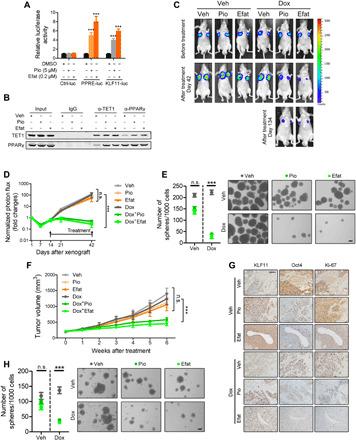 https://cdn.ncbi.nlm.nih.gov/pmc/blobs/ea2c/7840125/b995b800106f/abe3445-F6.jpg