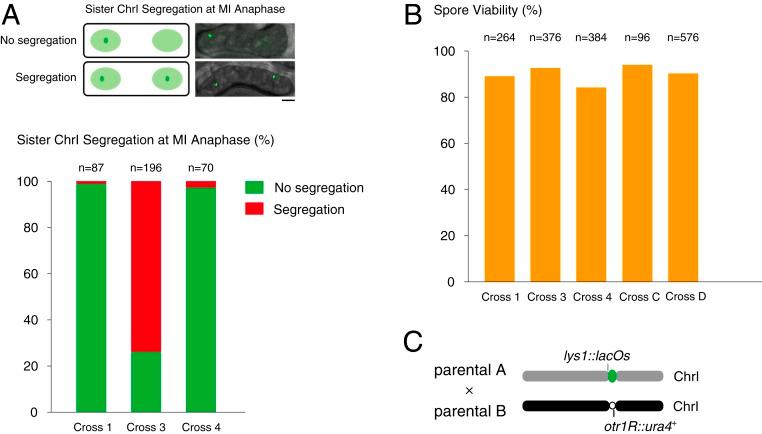https://cdn.ncbi.nlm.nih.gov/pmc/blobs/ea2d/6815110/562802ad8bb5/pnas.1911745116fig07.jpg