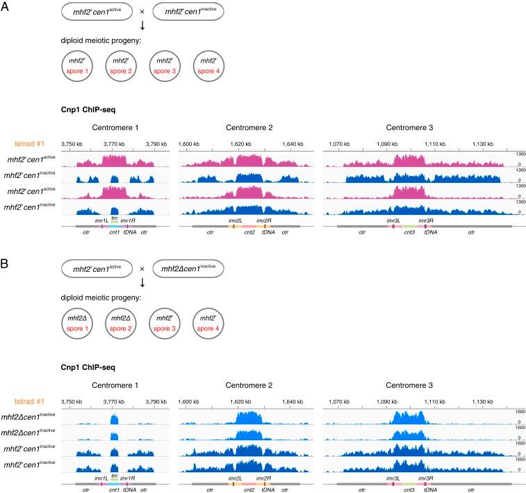 https://cdn.ncbi.nlm.nih.gov/pmc/blobs/ea2d/6815110/64a039ea134e/pnas.1911745116fig05.jpg